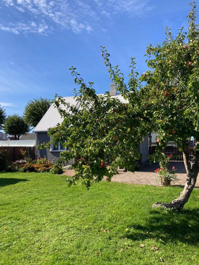 Brivdienu Maja Saulite Ventspils Eksteriør bilde